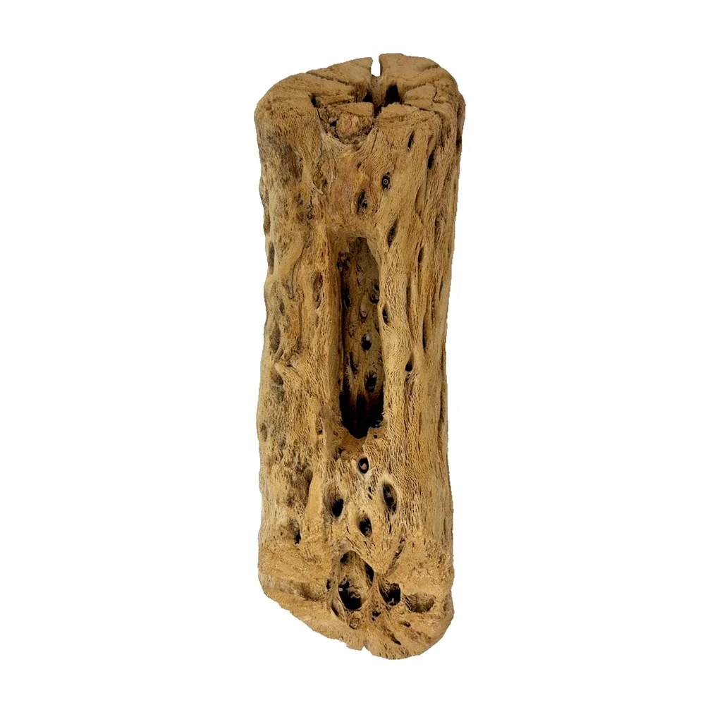 Natural Cholla Cactus Skeleton Wood Segment Reptile Aquarium Terrarium Decor